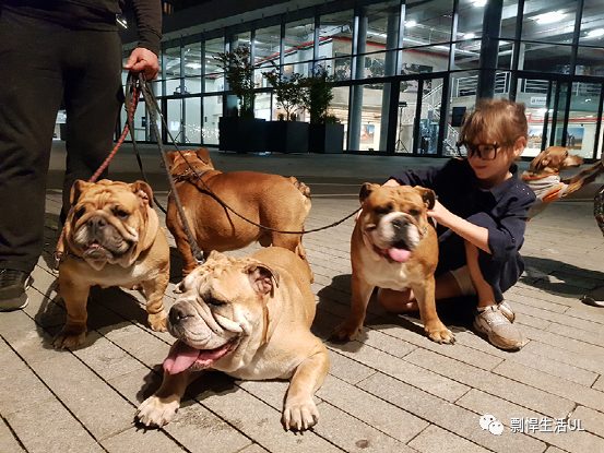 塞尔维亚首都Belgrade(贝尔格莱德)生活攻略、物价、以及我对塞尔维亚的印象.docx 塞尔维亚首都Belgrade(贝尔格莱德)生活攻略、物价、以及我对塞尔维亚的印象.docx