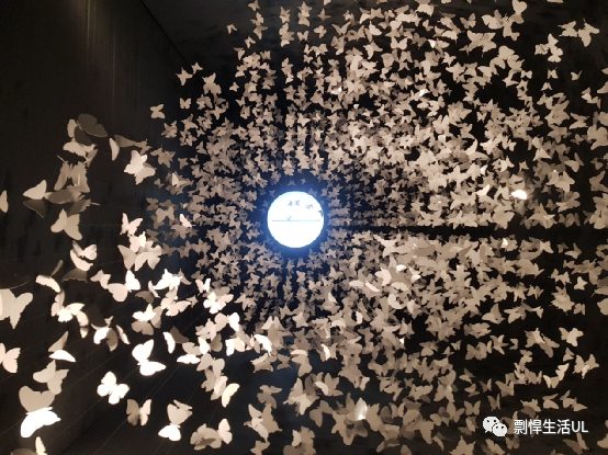 我对墨西哥的第一印象，墨西哥城攻略、游记（图多慎入）