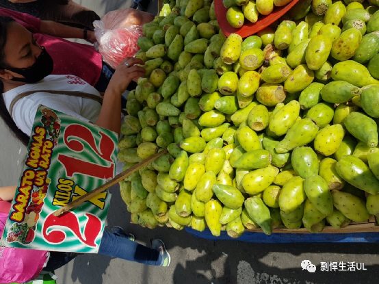 我对墨西哥的第一印象，墨西哥城攻略、游记（图多慎入）