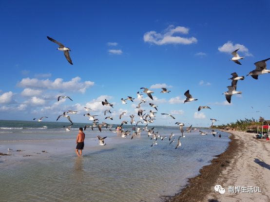 骑摩托游遍墨西哥东北端的Yucatan（尤卡坦州）和Quintana Roo（金塔纳罗奥州）两个州，攻略+游记