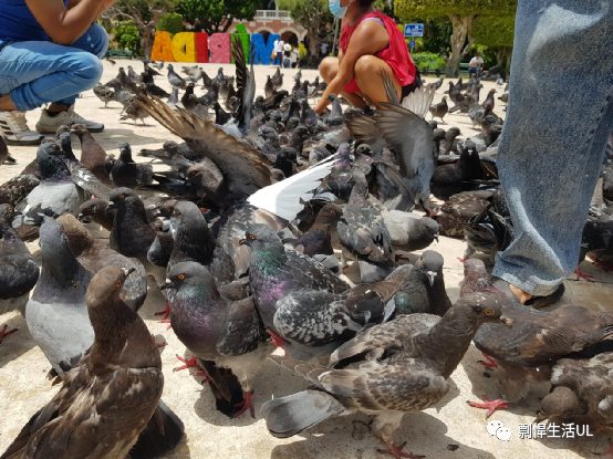 骑摩托游遍墨西哥东北端的Yucatan（尤卡坦州）和Quintana Roo（金塔纳罗奥州）两个州，攻略+游记
