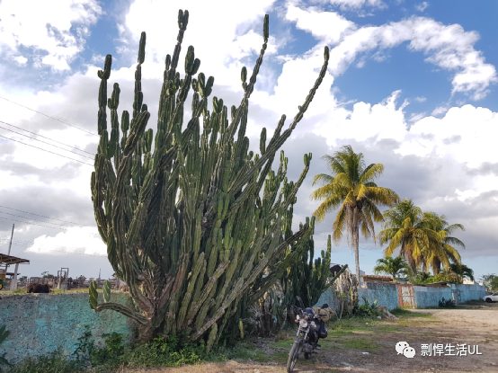 骑摩托游遍墨西哥东北端的Yucatan（尤卡坦州）和Quintana Roo（金塔纳罗奥州）两个州，攻略+游记