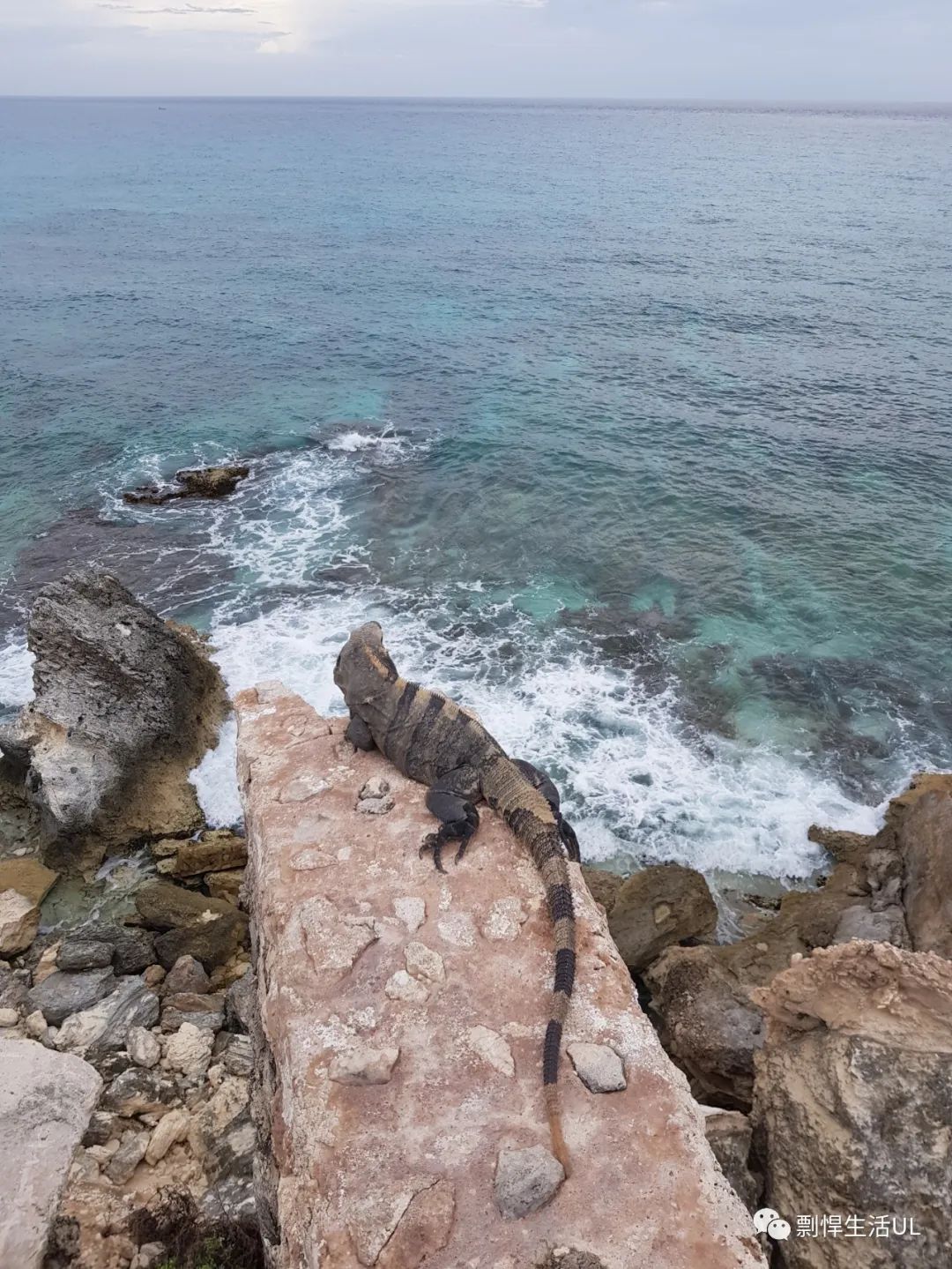 骑摩托游遍墨西哥东北端的Yucatan（尤卡坦州）和Quintana Roo（金塔纳罗奥州）两个州，攻略+游记